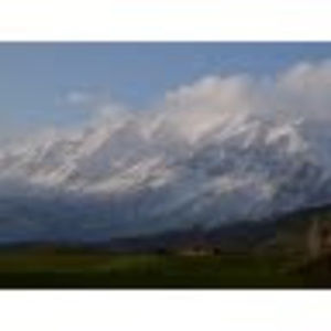 Meet your Posher, Chad